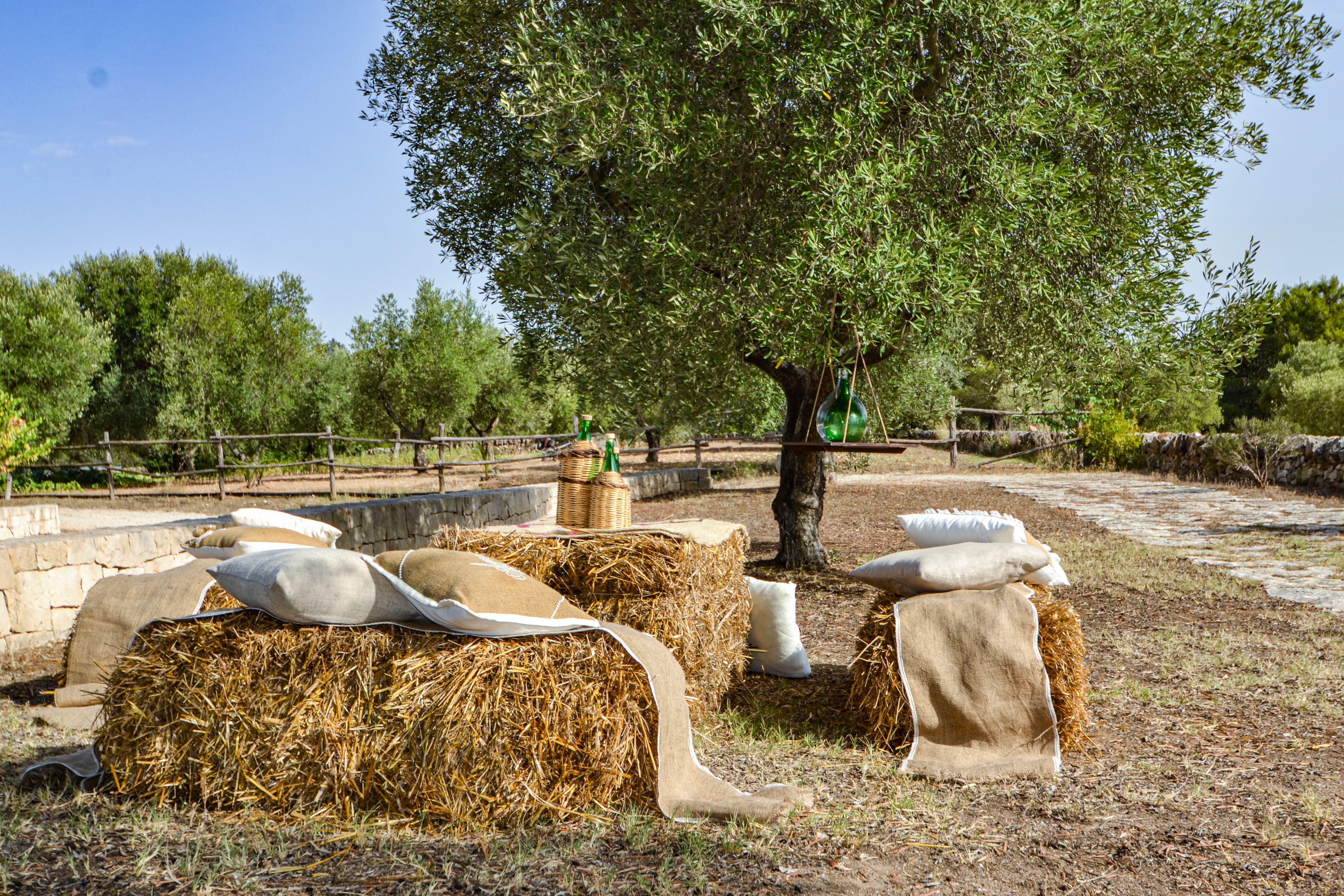 Vista panoramica agriturismo
